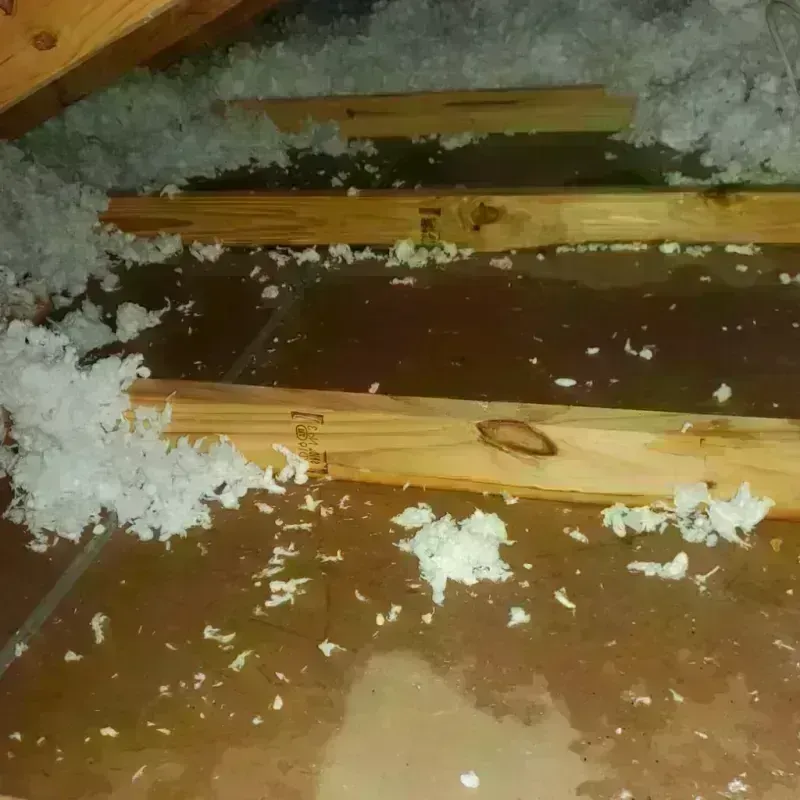 Attic Water Damage in Santa Paula, CA